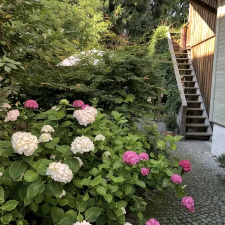 Idyllic apartment, central near the lake