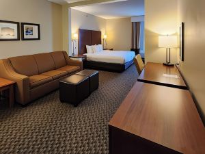 Comfort Inn & Suites Mount Pocono