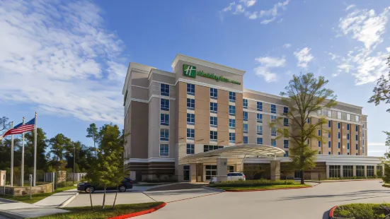 Crowne Plaza Shenandoah - Woodlands Area