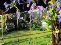 Homestay Chiangrai Hotels in Doi Hang