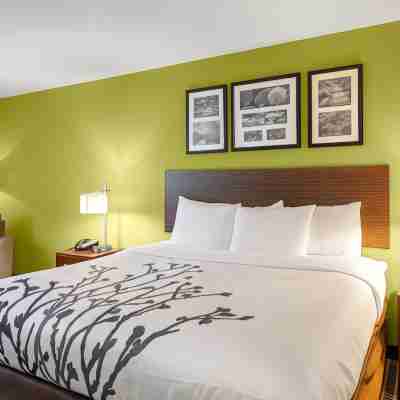 Sleep Inn & Suites Harbour Pointe Midlothian Rooms