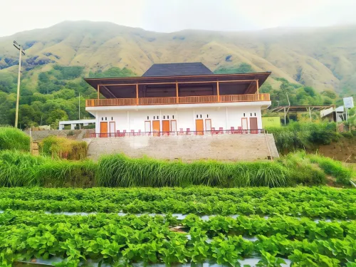 Teras Sawah Guest House Syariah Hotels in Sembalun Bumbung
