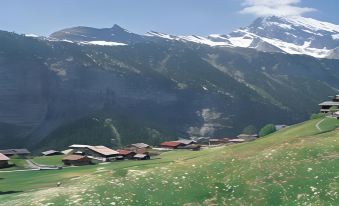 Hotel Schutzen Lauterbrunnen