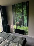 Vättervy Glamping Hotels in Habo