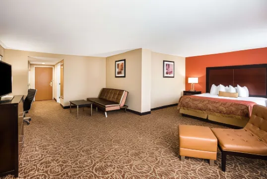 Wingate by Wyndham Atlanta Galleria/Ballpark