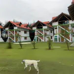 Resort Alapa Hotels in Nueve de Julio District