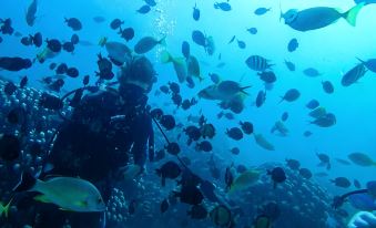 WonderOcean Dive hostel