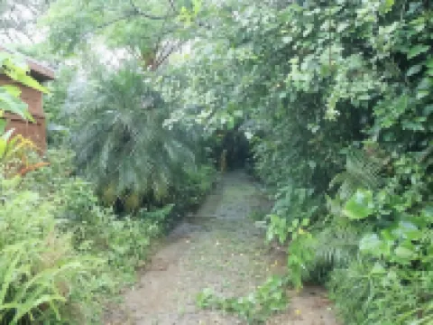 やんばるの森 大宜味村のホテル