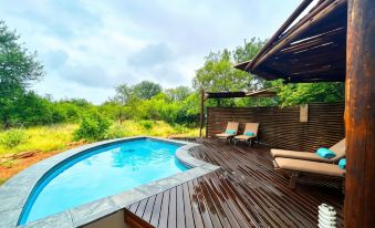 Wild Dog Guest Lodge