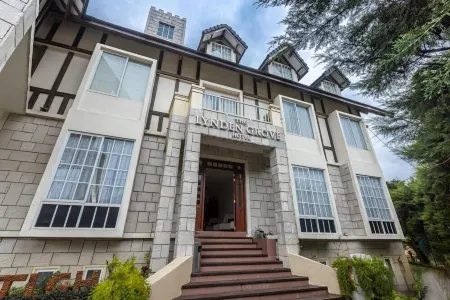 The Lynden Grove