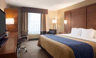 Comfort Inn & Suites Presidential