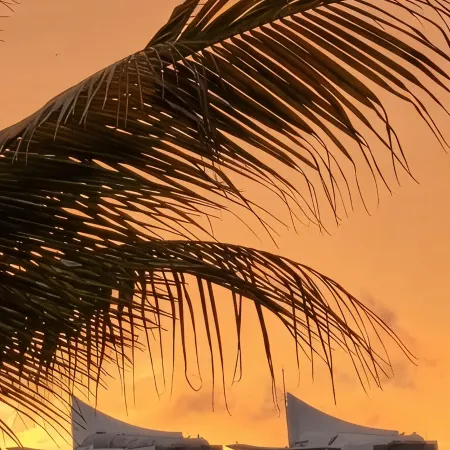 3BR fully equipped condo OCEAN FRONT - Golden Zone