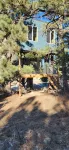 Tree House 1-bedroom cabin in Peyton with WiFi access