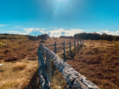 "Blakke" - 200m from the Sea