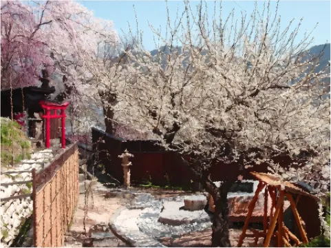 上杉の御湯 御殿守