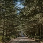 AMAKS Orbita Resort Hotels in Tuapsinsky District