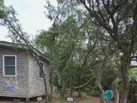 Oceanside Tiny House in Beautiful Frisco Hotels in Frisco