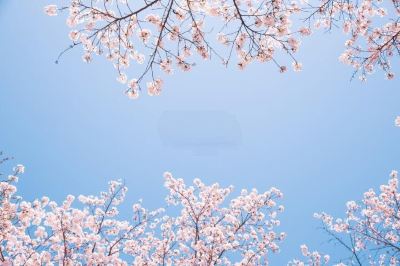 ホテル周辺 ビスタ ウォーカーヒル ソウルの写真