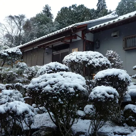 BOB's House