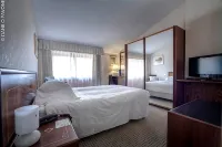 Arli Hotel Business and Wellness