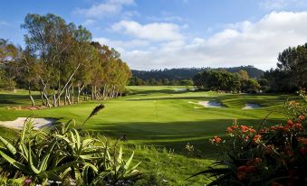 Park Hyatt Aviara