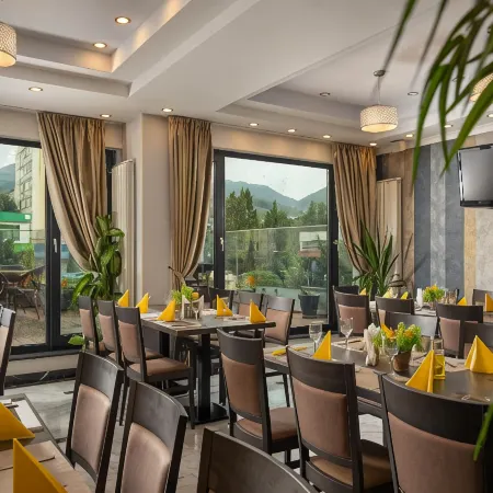 Hotel Sarmis Отели в г. Дева