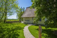 A Picturesque Thatched-Roof House Set in a Large Park-Like Garden - Wifi