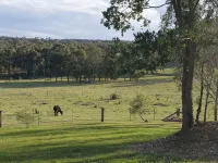 Country family cottage on our farm - Landsted
