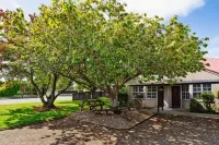 Balmoral Lodge Motel - Motels