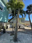 Sunshine, Sunsets and Sand - Just 3 minutes away! - Bungalows
