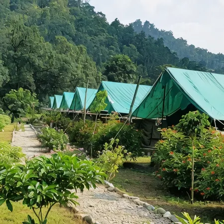 The Raajas - Camp & Resorts