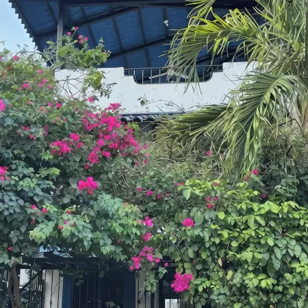 Cute 2bdrm Condo - Across from the beach