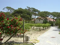 Solar Do Magoito - Pet friendly