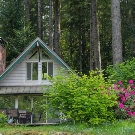 Cozy Cabin on the Sky River Looking up at the Wild Sky Wilderness