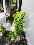 Blue Kingdom Eco Villa - 民宿