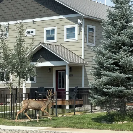 Relax in Spacious Comfort; Walk to Main St. and Trails. 30 Min to Crested Butte