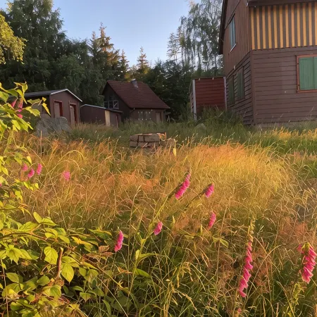 Secluded hunting lodge with three houses in the middle of the spectacular Harz nature