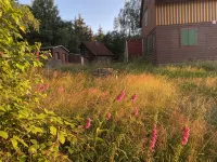 Secluded hunting lodge with three houses in the middle of the spectacular Harz nature
