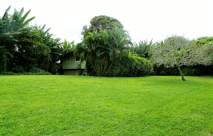 Great location between Hana Town and Hamoa Beach, private, family-friendly