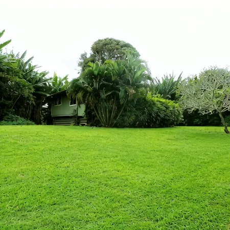 Great location between Hana Town and Hamoa Beach, private, family-friendly