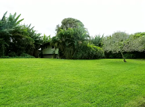 Great location between Hana Town and Hamoa Beach, private, family-friendly