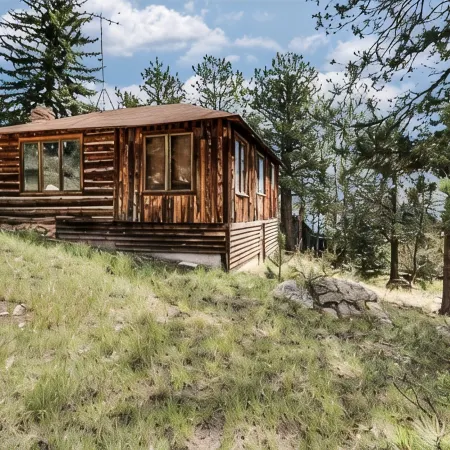 1900's Log Cabin with Spectacular Valley View