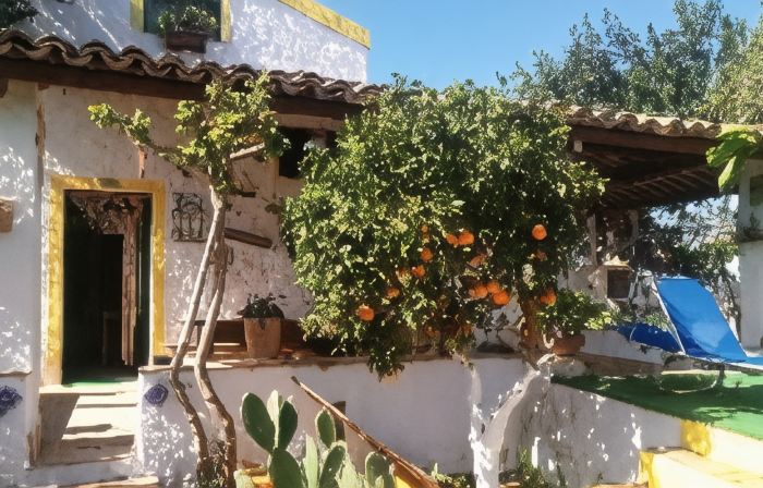 Zagara di Sicilia