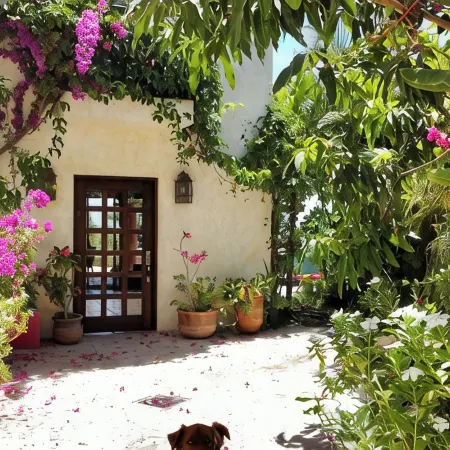 Charming 5-bed house with sweeping ocean views in delightful San Jose Del Cabo.