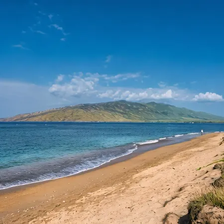 Calming Coastal Vistas