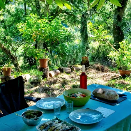 Quinta Senhora da Vida - a house in the middle of the forest, overlooking the sea