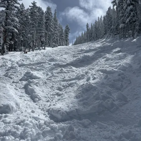 Comfy ski and mountain bike condo walking distance to lift!