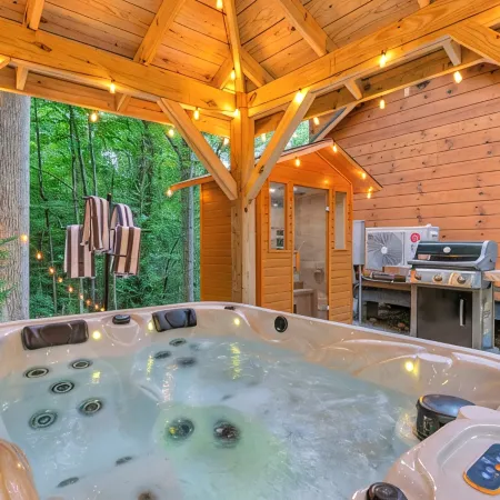 2 Bedroom Cabin in DuPont State Park with Loft, Hot-Tub, and Sauna(Read Rules)