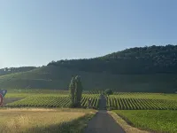 Panorama 180° - Wifi