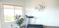 Legal Lakeview 2-bed 2-bath Entire Suite - Gym